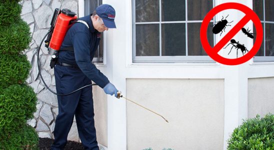 Gelendost Kemirgen İlaçlama böcek ilaçlama ve haşere kontrolü — ilaclama-tr.com